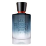 Real Superdry 01 Men woda toaletowa spray 100ml