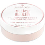 Silky Blur Transluvent Loose Setting Powder puder do twarzy 10 9g