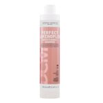 Perfect Laminoplex Maintenance szampon do włosów z efektem laminacji 300ml