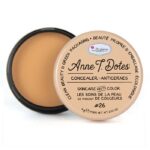 Anne T. Dotes Concealer korektor #26 9g