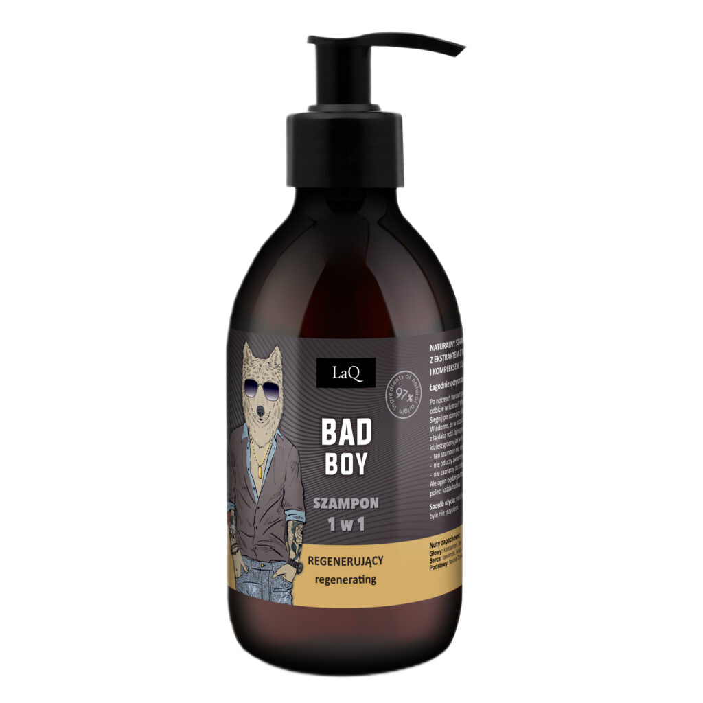 10625321733732693 Bad Boy szampon regenerujący 1w1 300ml - obrazek 1