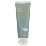 Mugwort Calming Clay Mask oczyszczająca maska do twarzy z glinką 100ml