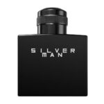 Silver Man woda toaletowa spray 100ml
