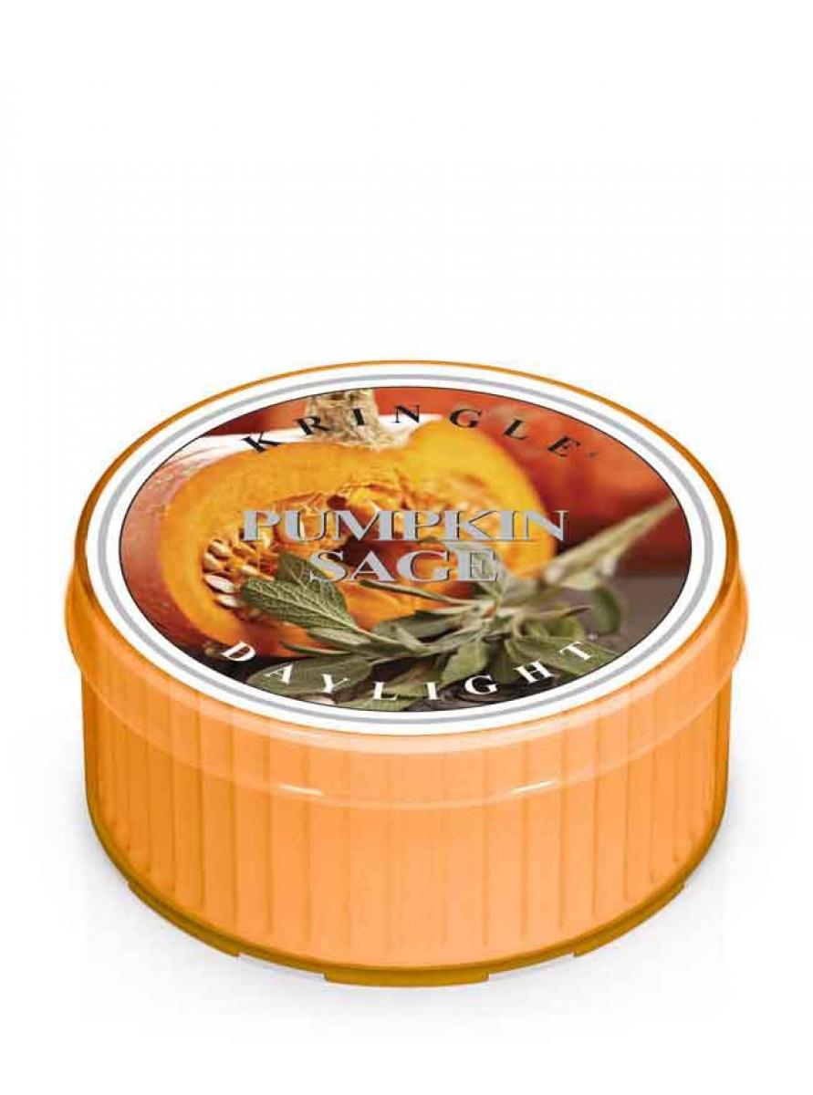13749251634032433 Daylight świeczka zapachowa Pumpkin Sage 35g - obrazek 1