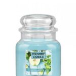 Średnia świeca zapachowa z dwoma knotami Cilantro Apple & Lime 453g