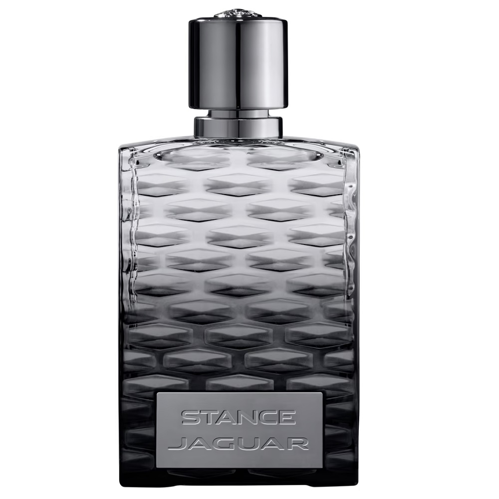 16531651718092705 Stance woda toaletowa spray 100ml - obrazek 1