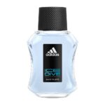 Ice Dive woda toaletowa spray 50ml