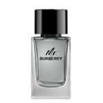 Mr. Burberry woda toaletowa spray 100ml