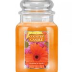 Duża świeca zapachowa z dwoma knotami Sunshine & Daisies 652g
