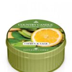 Daylight świeczka zapachowa Citrus And Sage 42g