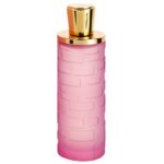 Mystique Femme woda perfumowana spray 100ml - produkt bez opakowania