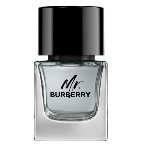 31602491682327539 Mr. Burberry woda toaletowa spray 50ml - obrazek 1