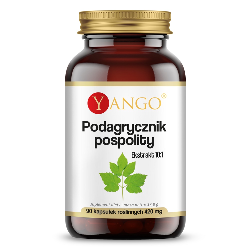 32809181744962763 Podagrycznik pospolity ekstrakt 10:1 suplement diety 90 kapsułek - obrazek 1