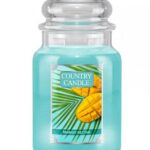 Duża świeca zapachowa z dwoma knotami Mango Nectar 680g
