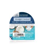 Wax Melt wosk zapachowy Coconut Splash 22g