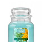 Średnia świeca zapachowa z dwoma knotami Mango Nectar 453g