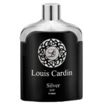 Silver Homme woda perfumowana spray 100ml