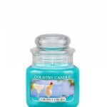 Mała świeca zapachowa Coconut Colada 104g