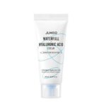 Waterfull Hyaluronic Acid Cream silnie nawilżający krem do twarzy z kwasem hialuronowym 20ml