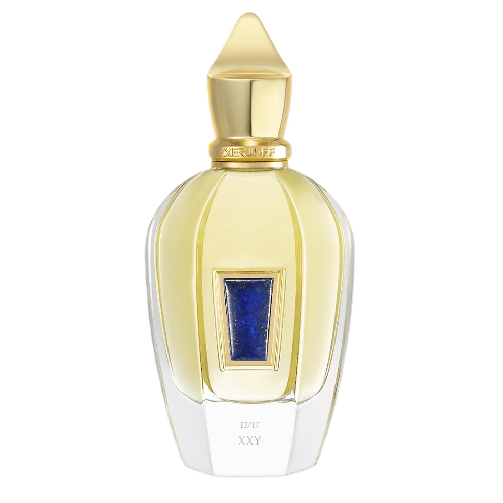 41127101734029625 17/17 XXY perfumy spray 100ml - obrazek 1