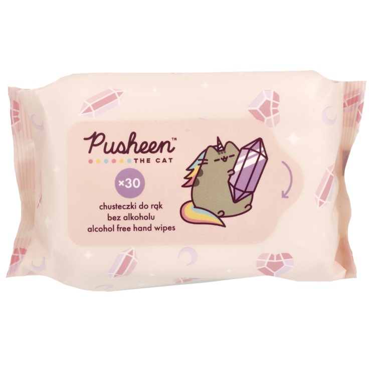 43685001701944595 Hand Wipes nawilżane chusteczki do rąk dla dzieci 30szt. - obrazek 1