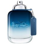 Blue woda toaletowa spray 100ml