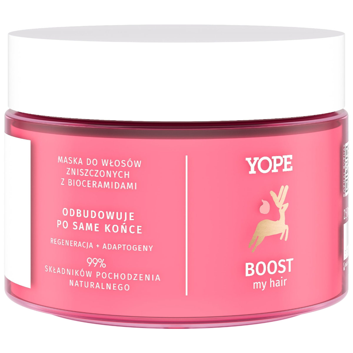49351531649143064 Boost My Hair maska do włosów zniszczonych z bioceramidami 250ml - obrazek 1