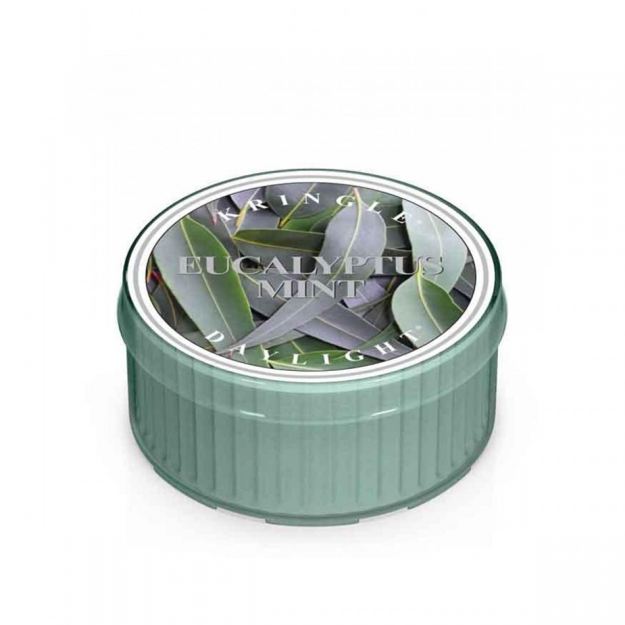 51789091637587892 Daylight świeczka zapachowa Eucalyptus Mint 35g - obrazek 1