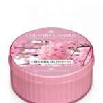 Daylight świeczka zapachowa Cherry Blossom 35g