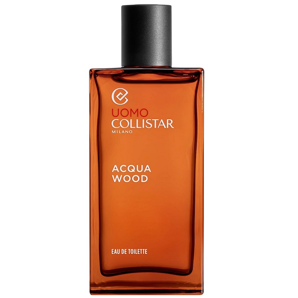 5574201743145106 Acqua Wood woda toaletowa spray 100ml - obrazek 1