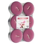 Podgrzewacze zapachowe maxi Spa Garden 6szt.