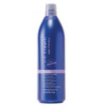 Ice Cream Age Therapy Hair Lift Shampoo regenerujący szampon do włosów dojrzałych o porowatej strukturze 1000ml