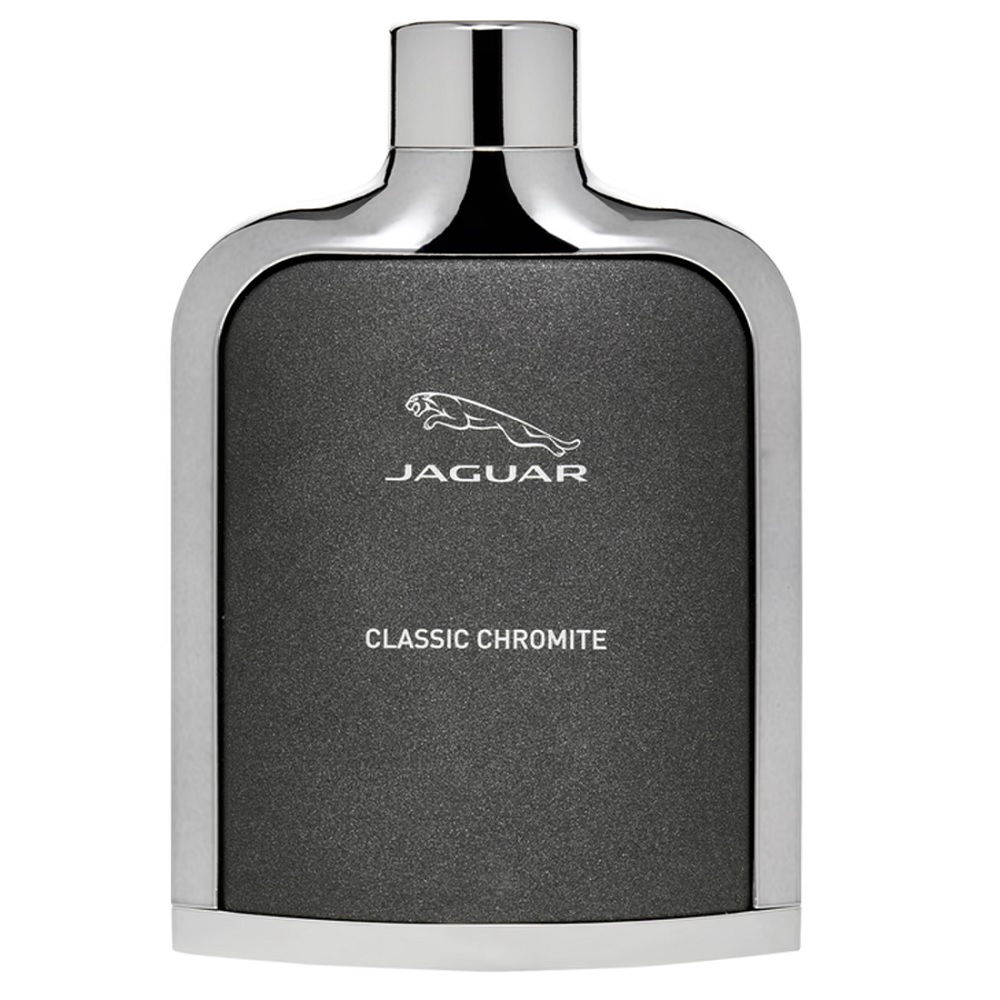 58490241718092199 Classic Chromite woda toaletowa spray 100ml - obrazek 1