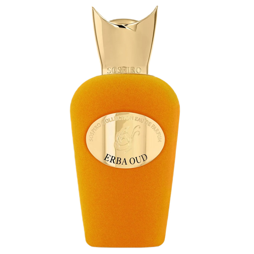 60527631731913681 Erba Oud woda perfumowana spray 100ml - obrazek 1