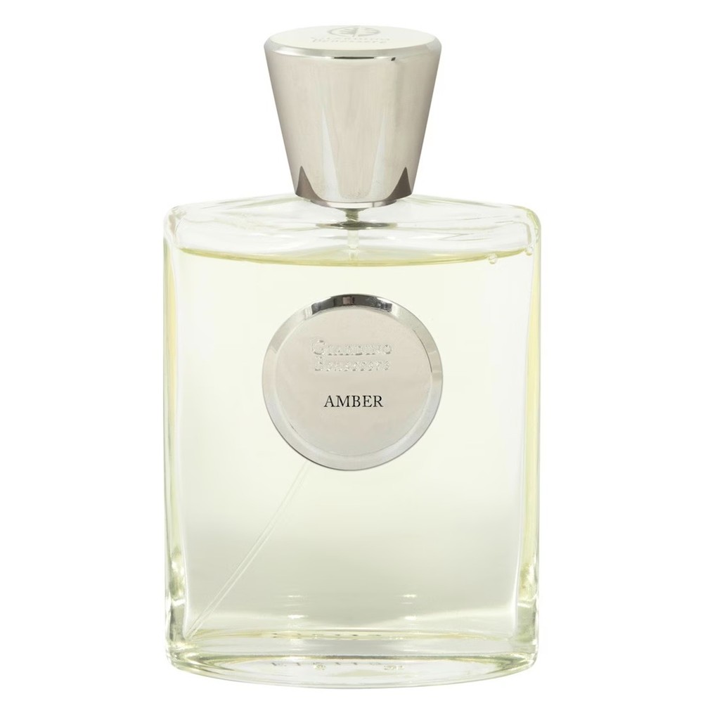 65564921750844200 Amber woda perfumowana spray 100ml - obrazek 1