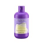 Blondesse No-Yellow Shampoo szampon do włosów blond rozjaśnianych i siwych 300ml