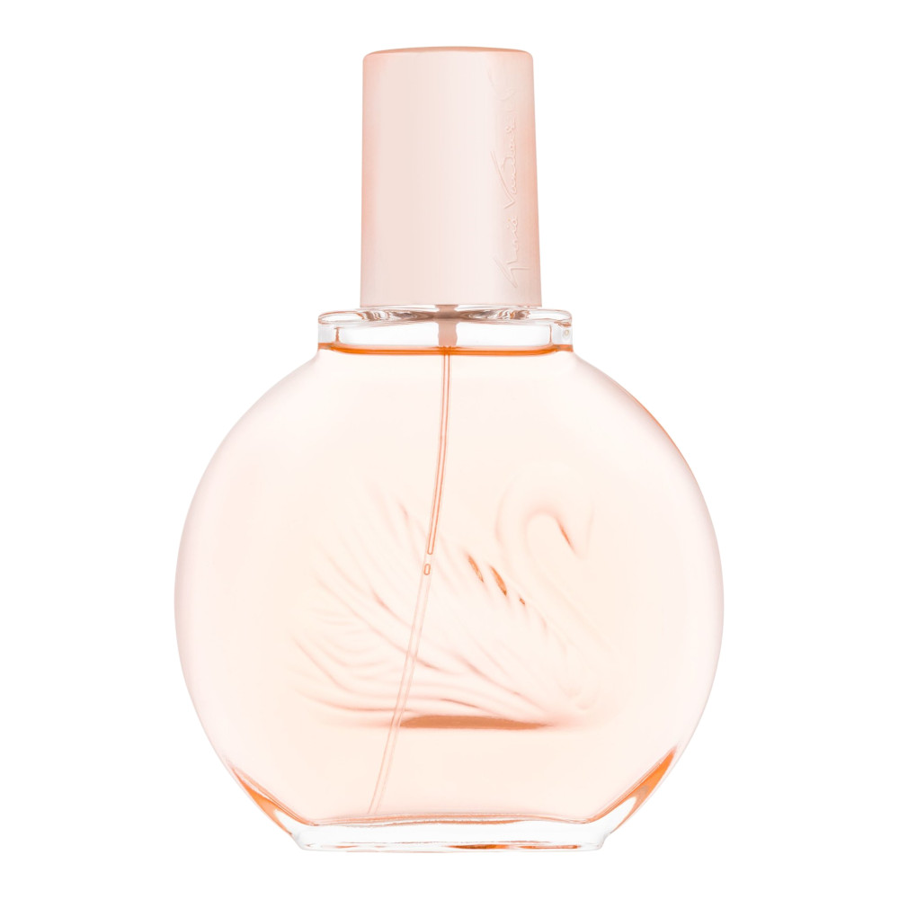 67075141664296429 Miss Vanderbilt woda toaletowa spray 100ml - obrazek 1