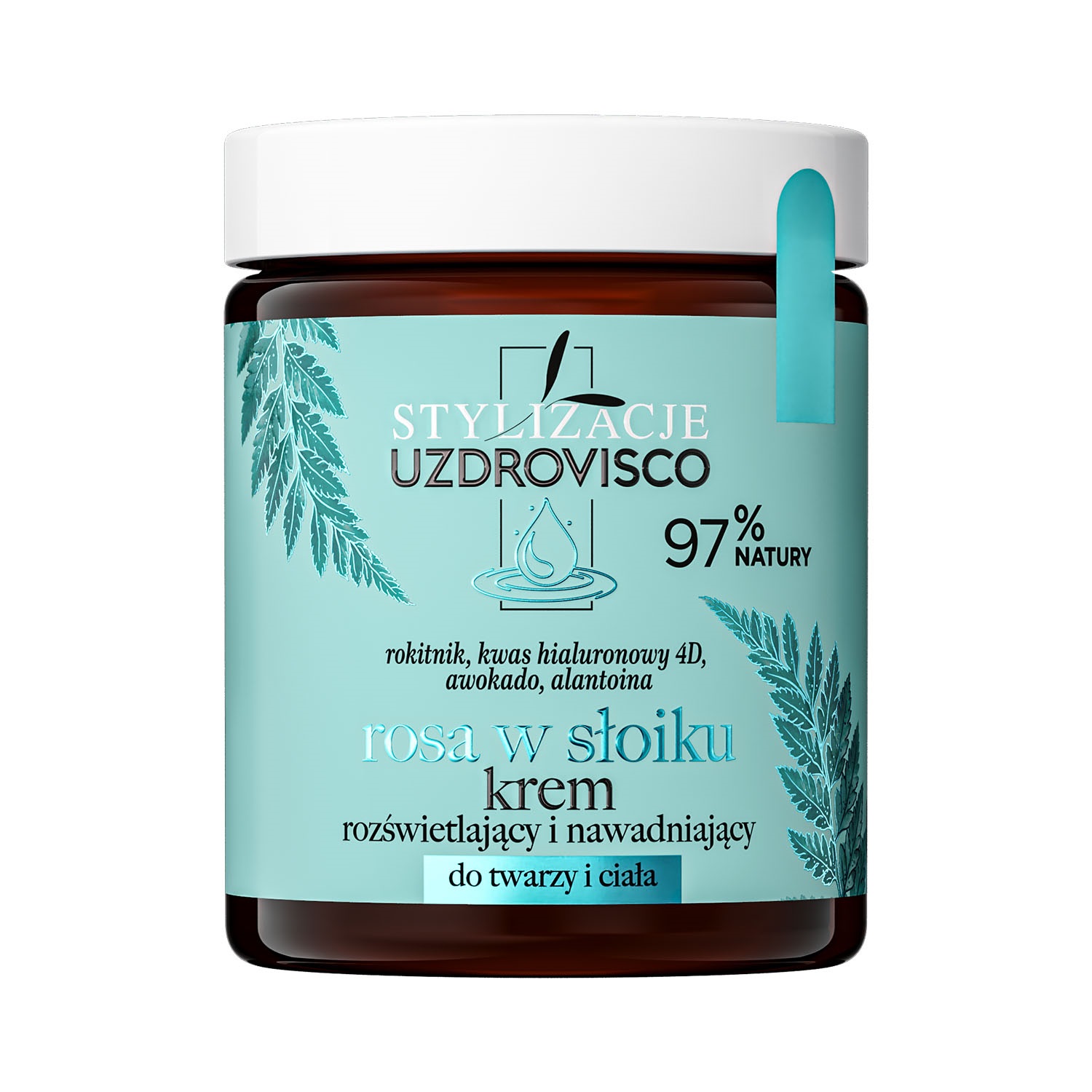6776451688978541 Stylizacje krem rozświetlający i nawadniający do twarzy i ciała Rosa w Słoiku 170ml - obrazek 1