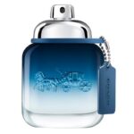 Blue woda toaletowa spray 40ml