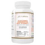 Glukozamina + Chondroityna + MSM + Witamina C suplement diety 120 kapsułek