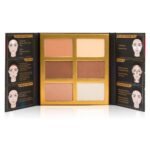Symphony Face Obsession paleta do konturowania twarzy 102 Medium/Dark 27.5g