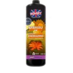 Babassu Oil Professional Shampoo Energizing energetyzujący szampon do włosów farbowanych 1000ml