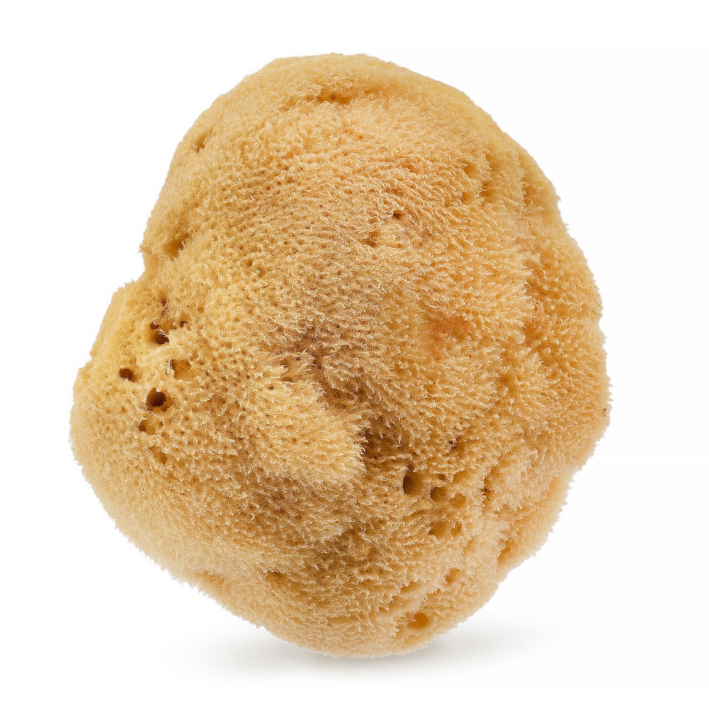 76661761651227117 Naturalna gąbka morska O1F 12.5cm Brązowa - obrazek 1