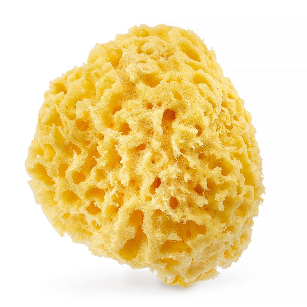 81584011651224170 Naturalna gąbka morska 03H 12.5cm Żółta - obrazek 1
