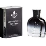 Accountable Style Edition For Men woda toaletowa spray 100ml