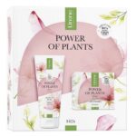 Power of Plants Róża zestaw krem liftingujący 50ml + nawilżający balsam do ciała 200ml
