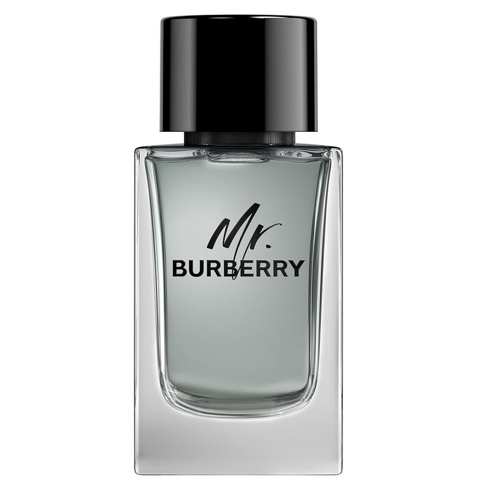 87027001712324019 Mr. Burberry woda toaletowa spray 150ml - obrazek 1