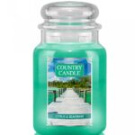 Duża świeca zapachowa z dwoma knotami Citrus & Seagrass 652g