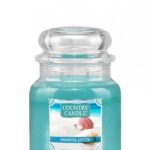 Średnia świeca zapachowa z dwoma knotami Paradise Breeze 453g