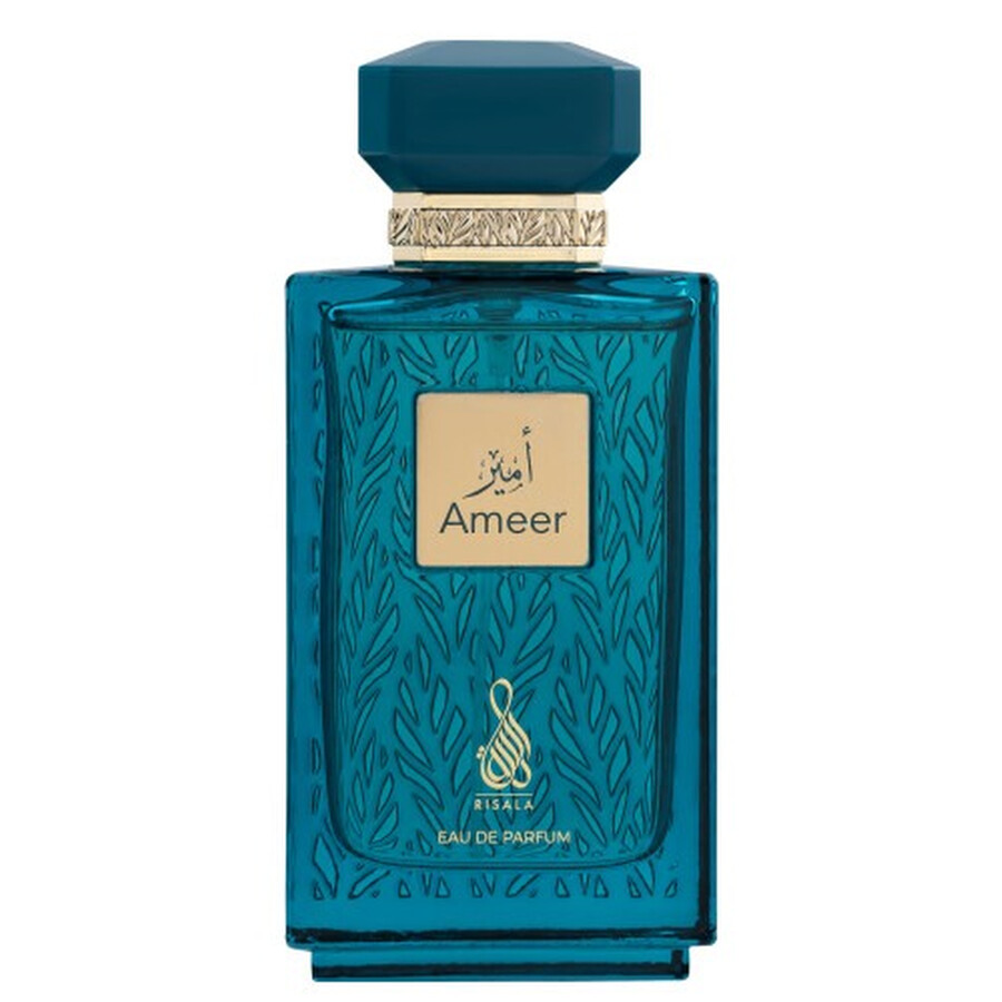 93684941766476500 Ameer woda perfumowana spray 100ml - obrazek 1